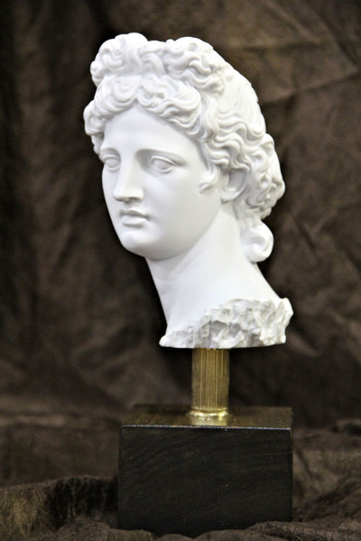 Head of Apollo Belvedere on Base Bust Statue Artwork Decorative